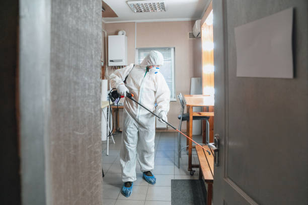 Best Biohazard Mold Removal  in USA